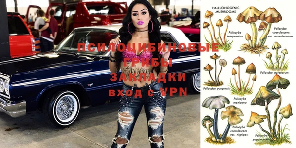 крисы Ростов