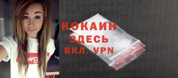 соль курить ск Рославль